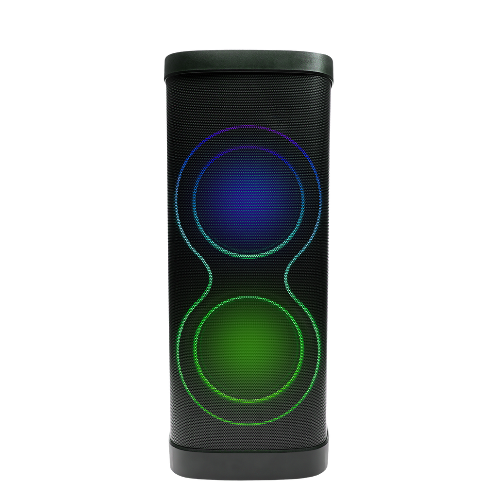 VIVAX karaoke zvucnik BS-1310