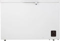 GORENJE FH37DAW ZAMRZIVAC